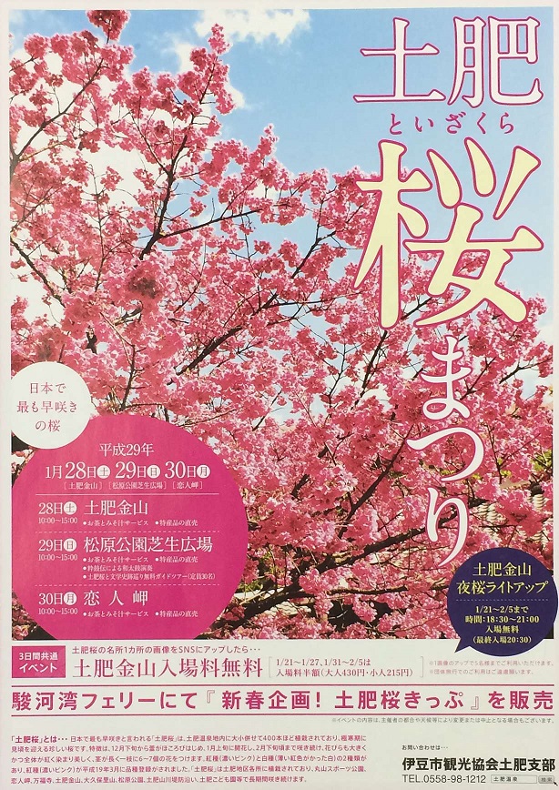 土肥桜まつり表